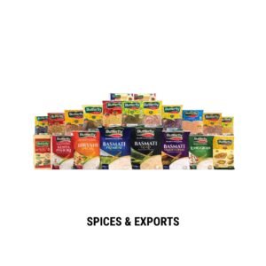 Spices & Exports